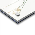 Lady slipper orchid illustration  Acrylic print