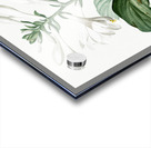 Daylily illustration  Acrylic print