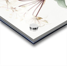 Crinum erubescens illustration  Acrylic print