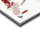 Lily illustration  Acrylic print