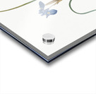 Barbary Nut illustration  Acrylic print