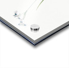 Vieusseuxia glaucopis illustration  Acrylic print