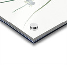 Snake head illustration  Acrylic print