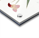 Tiger flower illustration  Acrylic print