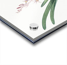 Boat orchid illustration  Acrylic print