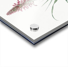 Pina cortadora illustration  Acrylic print