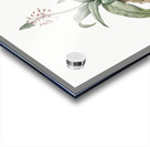 Lachenalia lanceaefolia illustration  Acrylic print