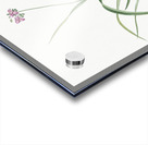 Spiderwort illustration  Acrylic print