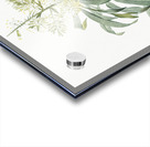 Pleomele illustration  Acrylic print