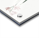 Painted lady illustration  Acrylic print