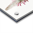 Pitcairnia latifolia illustration  Acrylic print