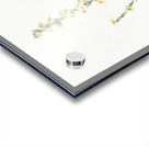 Pale yellow eyed grass illustration  Acrylic print