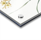 Gladiolus lineatus illustration  Acrylic print