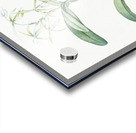 Fringed Star Orchid illustration  Acrylic print