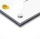 Orange Ixia illustration  Acrylic print