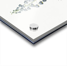 Persian lily illustration Acrylic print