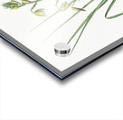 Slime Lily illustration  Impression Acrylique