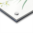 Slime Lily illustration  Acrylic print