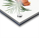 Fritillaries illustration  Acrylic print