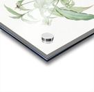 Commelina zanonia illustration  Acrylic print