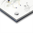 Iris Persica illustration  Acrylic print