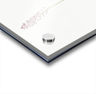 Scilla obtusifolia illustration  Acrylic print