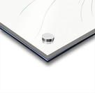 Crocus leaved romulea Ixia bulbocodium illustration  Acrylic print