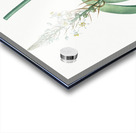 Pregnant onion illustration  Acrylic print