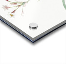 Crytanthus vittatus illustration  Acrylic print