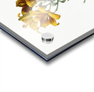 Fire lily illustration  Acrylic print