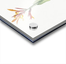 Indian shot illustration  Acrylic print