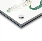 Eucomis punctata illustration  Acrylic print