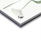 Black garlic illustration  Acrylic print