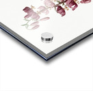 Lilium martagon illustration  Acrylic print