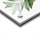 Smilacina stellata illustration  Acrylic print