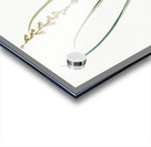 Hyacinthus serotinus illustration  Acrylic print