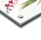 Eastern gladiolus illustration  Acrylic print