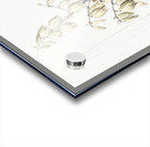 Adam needle illustration  Acrylic print