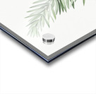 Whorled Solomon seal illustration  Acrylic print