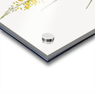 Bulbine illustration  Acrylic print