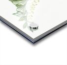 Solomon seal illustration  Acrylic print