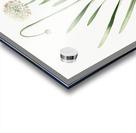 Star squill illustration  Acrylic print