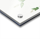 Mayanthemum illustration  Acrylic print