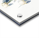 Elder scented iris illustration  Acrylic print