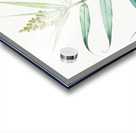 Bush cane illustration  Acrylic print