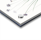 Vanilla lily illustration  Acrylic print