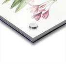 Autumn crocus illustration  Acrylic print