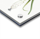 Grape hyacinth illustration  Acrylic print