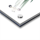 Harlequin blueflag illustration  Acrylic print