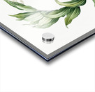 Treacleberry illustration  Acrylic print